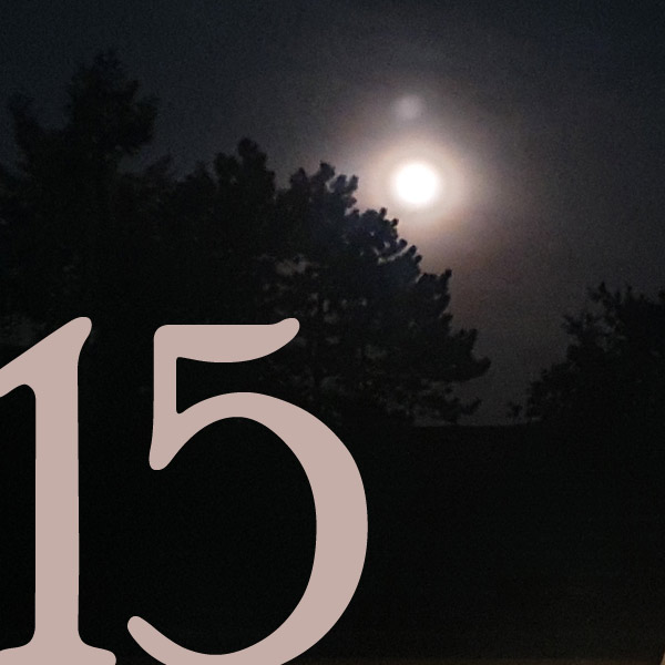 15 - Vollmond