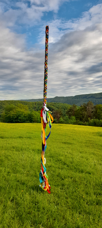 Maibaum auf einer grünen Wiese