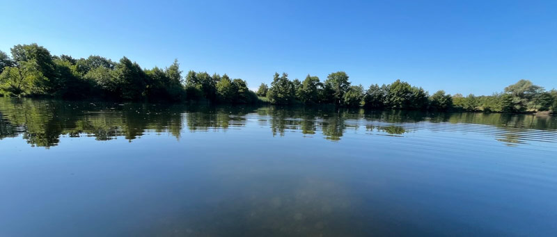 Blick über einen See mit Bäumen am Ufer