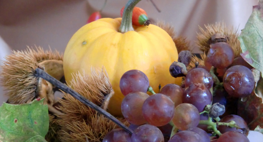 Trauben mit Kürbis und Maronen